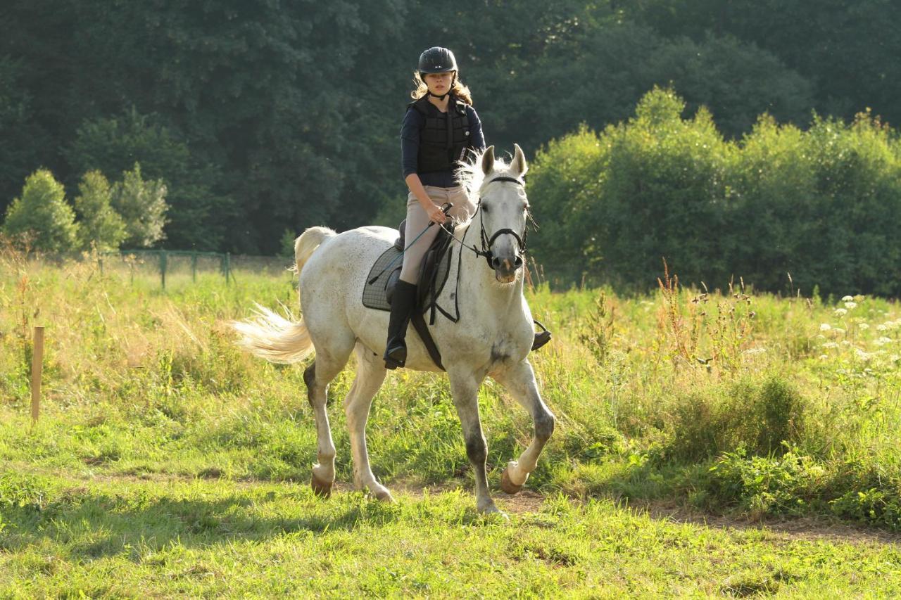 Willa Marianna Lądek-Zdrój Exteriér fotografie