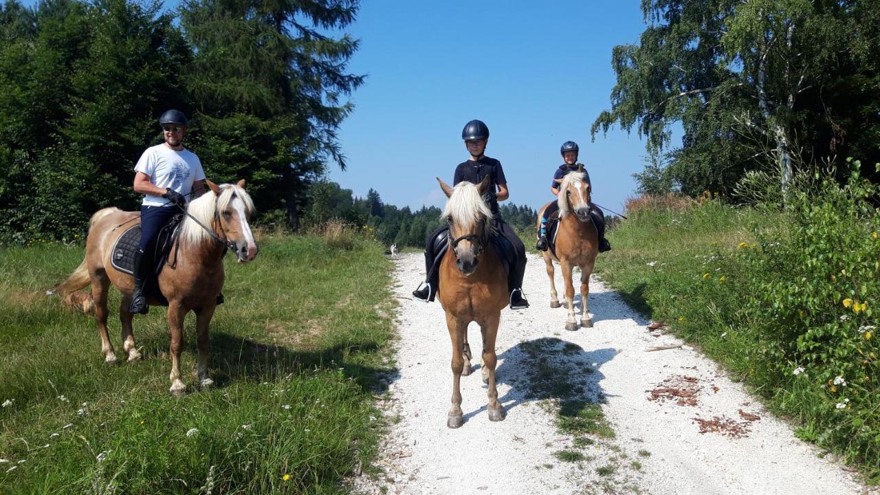 Willa Marianna Lądek-Zdrój Exteriér fotografie