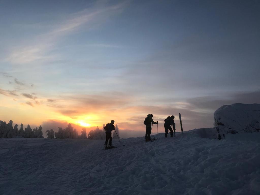 Willa Marianna Lądek-Zdrój Exteriér fotografie