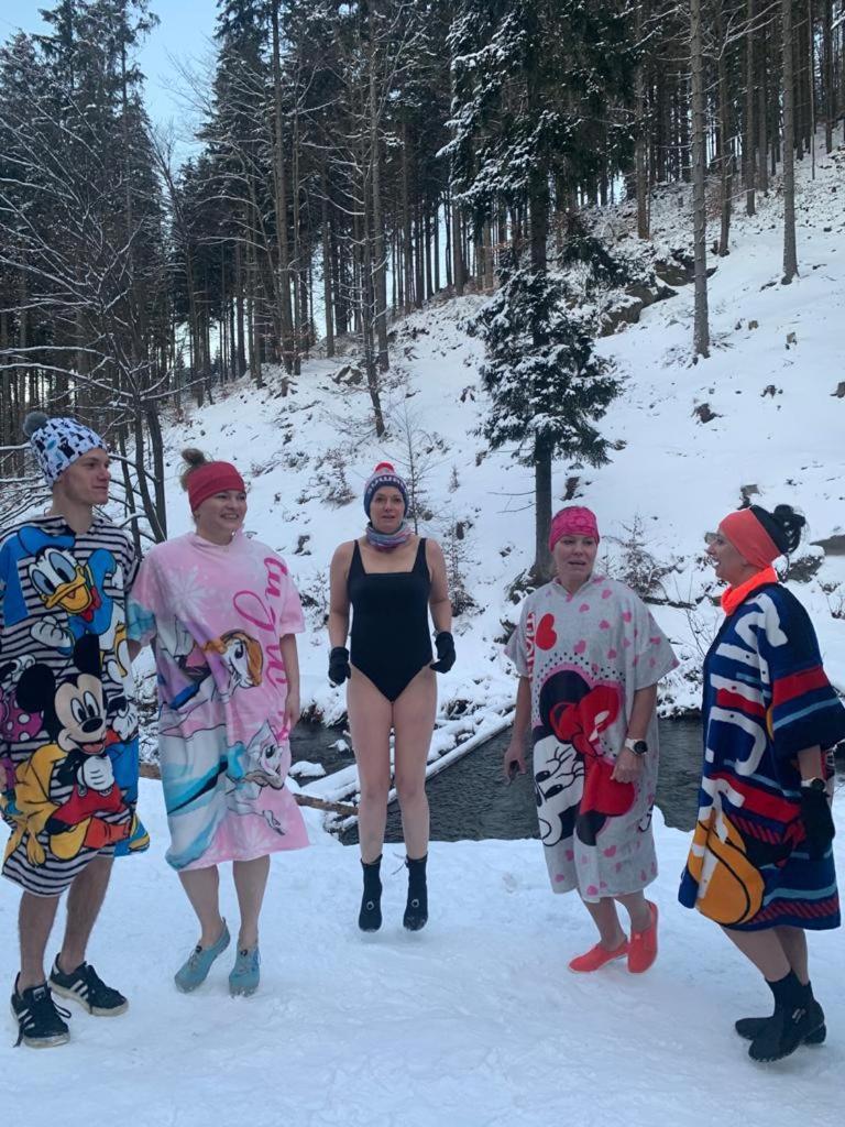 Willa Marianna Lądek-Zdrój Exteriér fotografie
