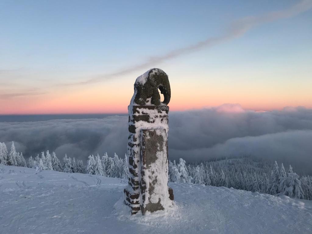 Willa Marianna Lądek-Zdrój Exteriér fotografie